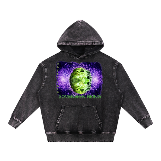 SOVEREIGN BEING ALBUM ART HOODY ( Waterfals) Snow Wash Hand-Frayed Heavyweight  Hoodie
